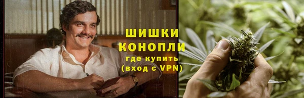 ГАЛЛЮЦИНОГЕННЫЕ ГРИБЫ Алзамай