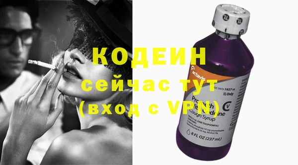 apvp Валдай