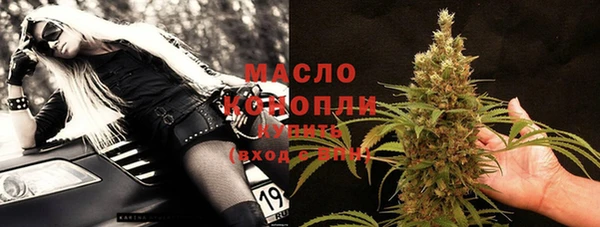 молекула духа Богородицк