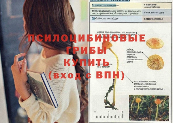дурь Нягань