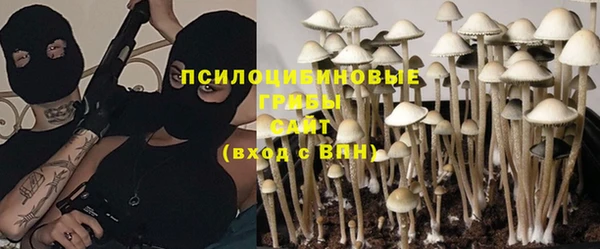 ALPHA-PVP Новодвинск