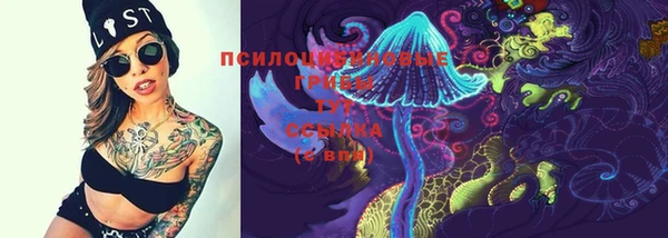 крисы Осташков