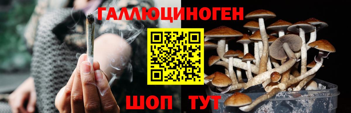 Галлюциногенные грибы мицелий  Галлюциногенные грибы Psilocybe  Миллерово  купить   Вход с VPN 